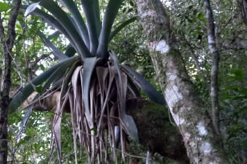 Foto - TRILHA DO CONHECER